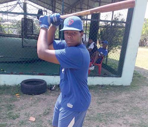 Vlad Guerrero hijo