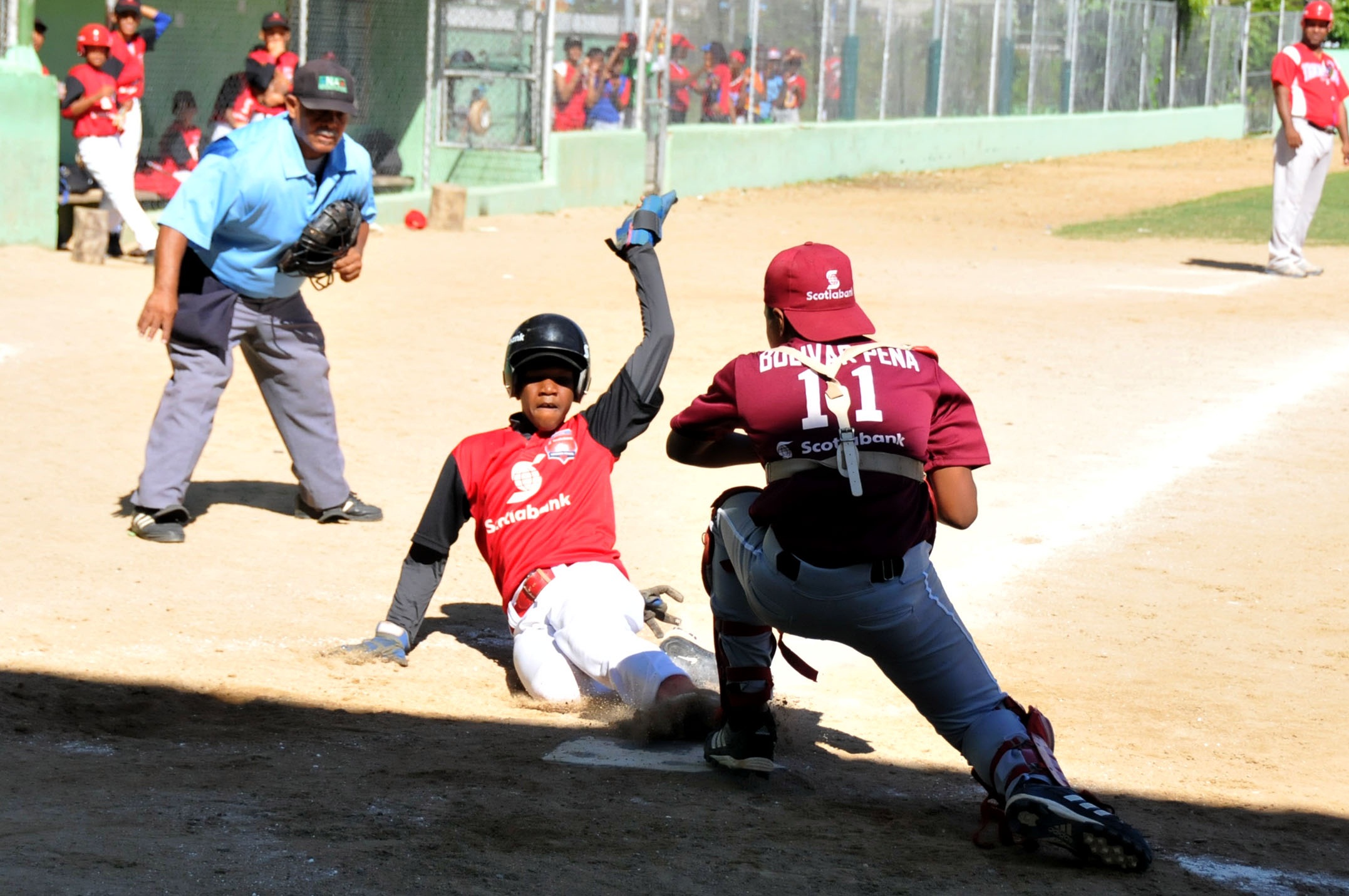 Beisbol infantil Scotiabank
